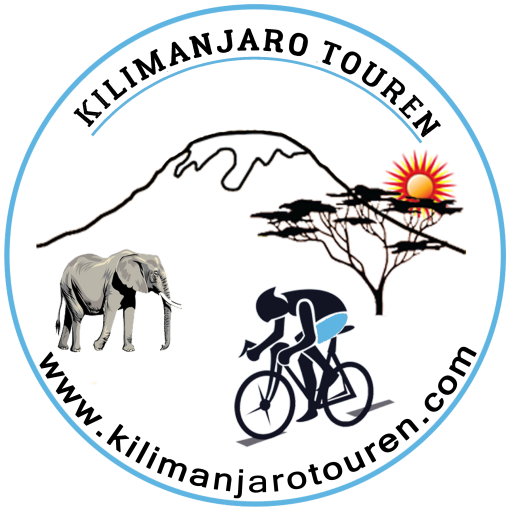 kilimanjarotouren.com