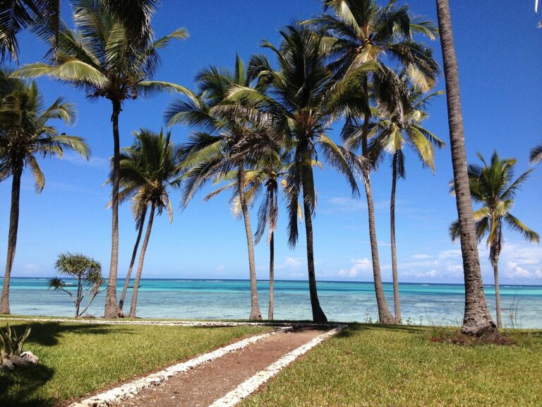 Read more about the article 2 Days Zanzibar Holiday Tour – Beach Escape & Stone Town Adventure