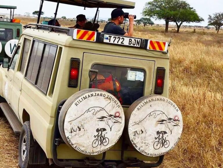 kilimanjaro-touren (19)